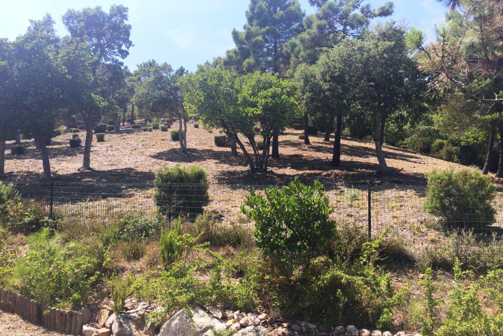 Maison  sur grand terrain à Bormes Les Mimosas / évaluation gratuite