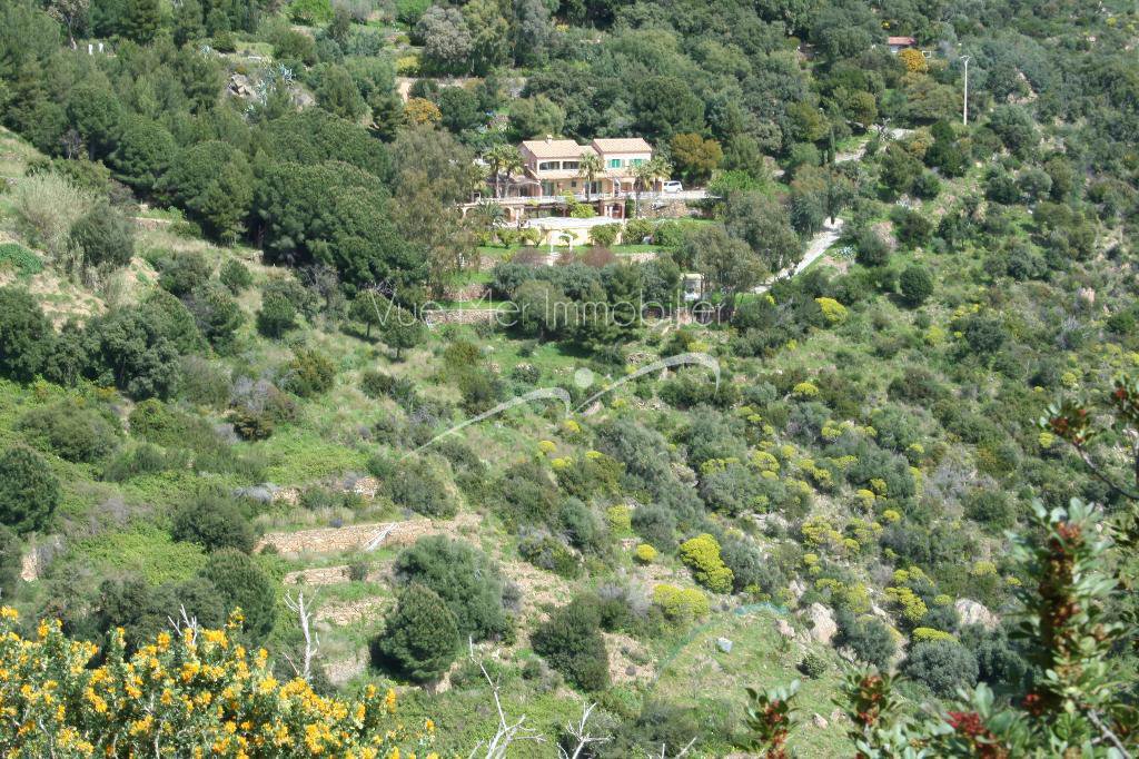 terrain de plus d'1 hectare au Lavandou estimlation immobilière
