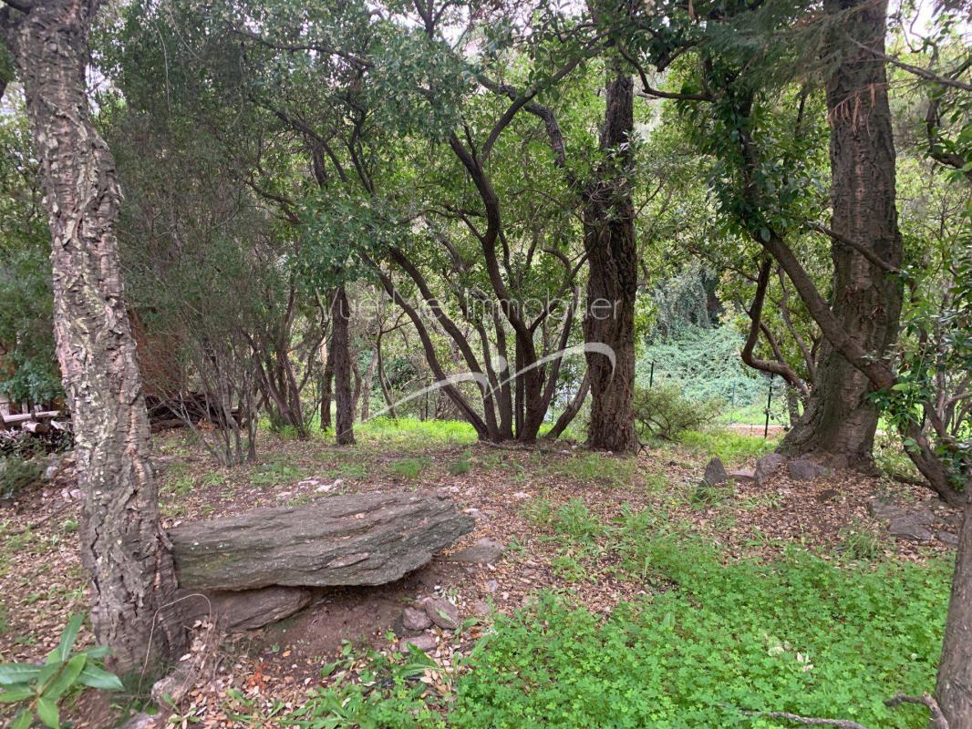 grand terrain à faire estimer au Lavandou