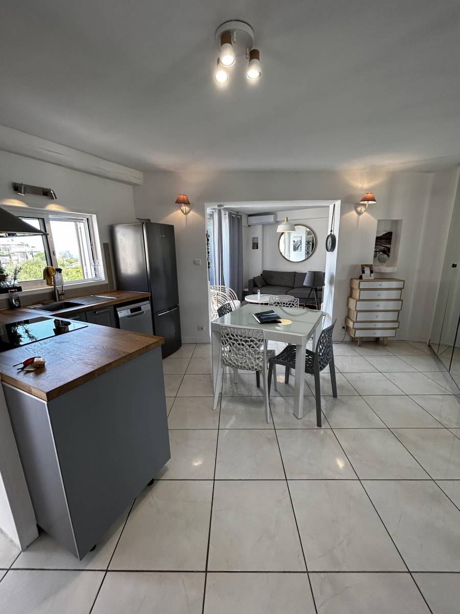 Appartement rénové a vendre