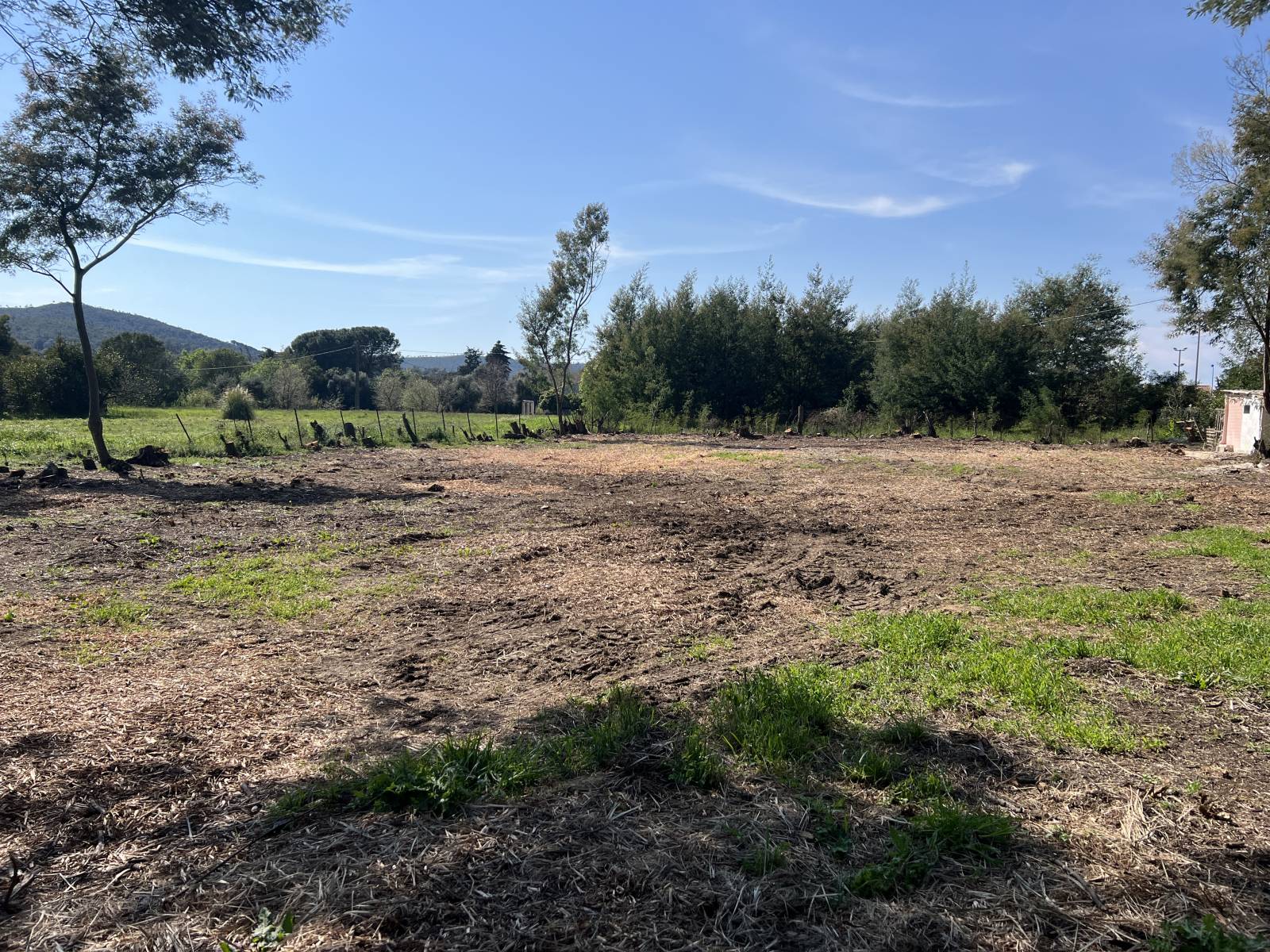 TERRAIN PLAT 1280 m² - BORMES LES MIMOSAS