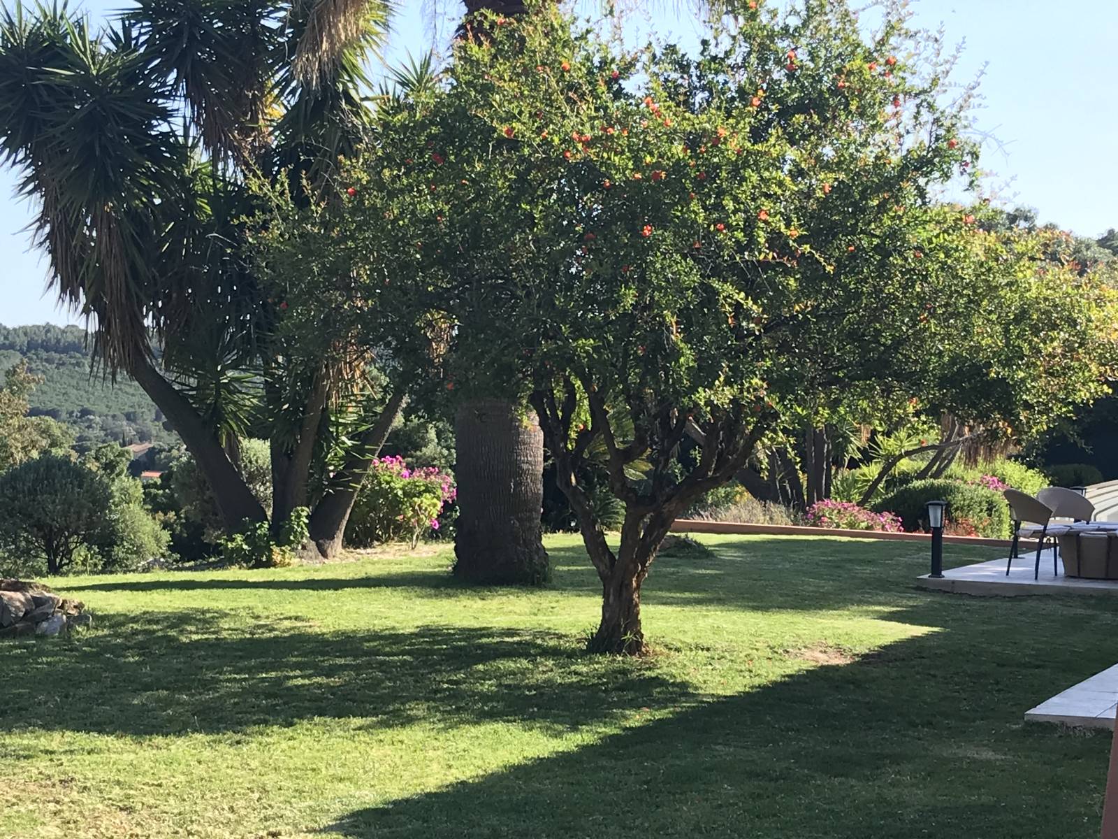 maison sur beau terrain à faire estimation puis vendre au Lavandou