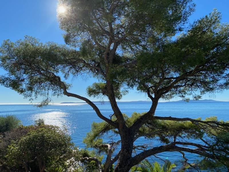 mettre en vente une propriété d'exception au Lavandou par agence compétente discrète