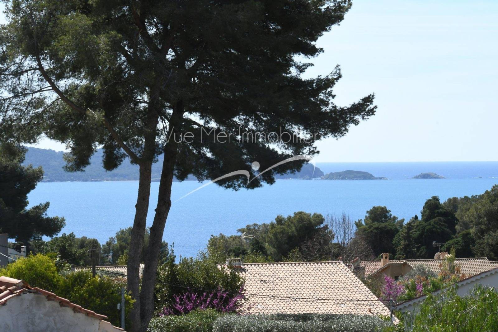 Vue mer Real estate agent