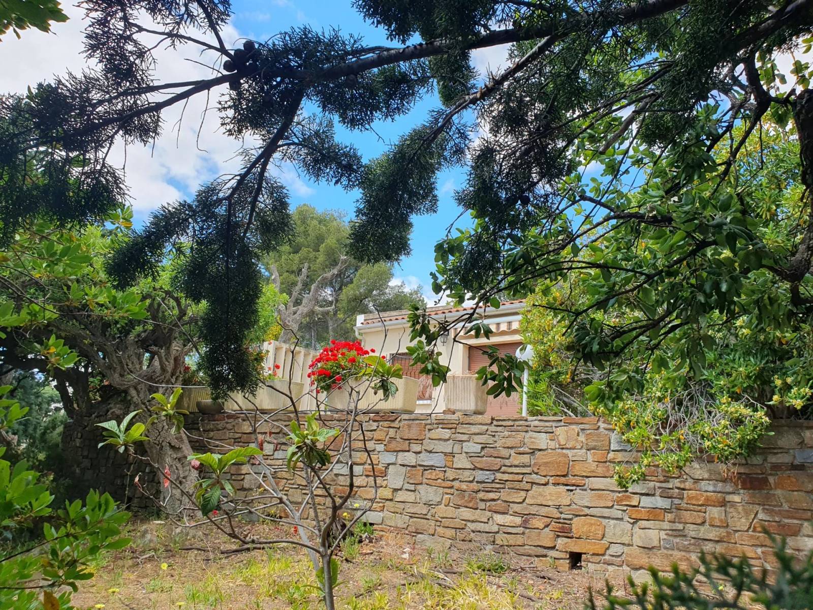 meilleure agence immobilière sérieuse pour estimer sa villa à Bormes-les-Mimosas