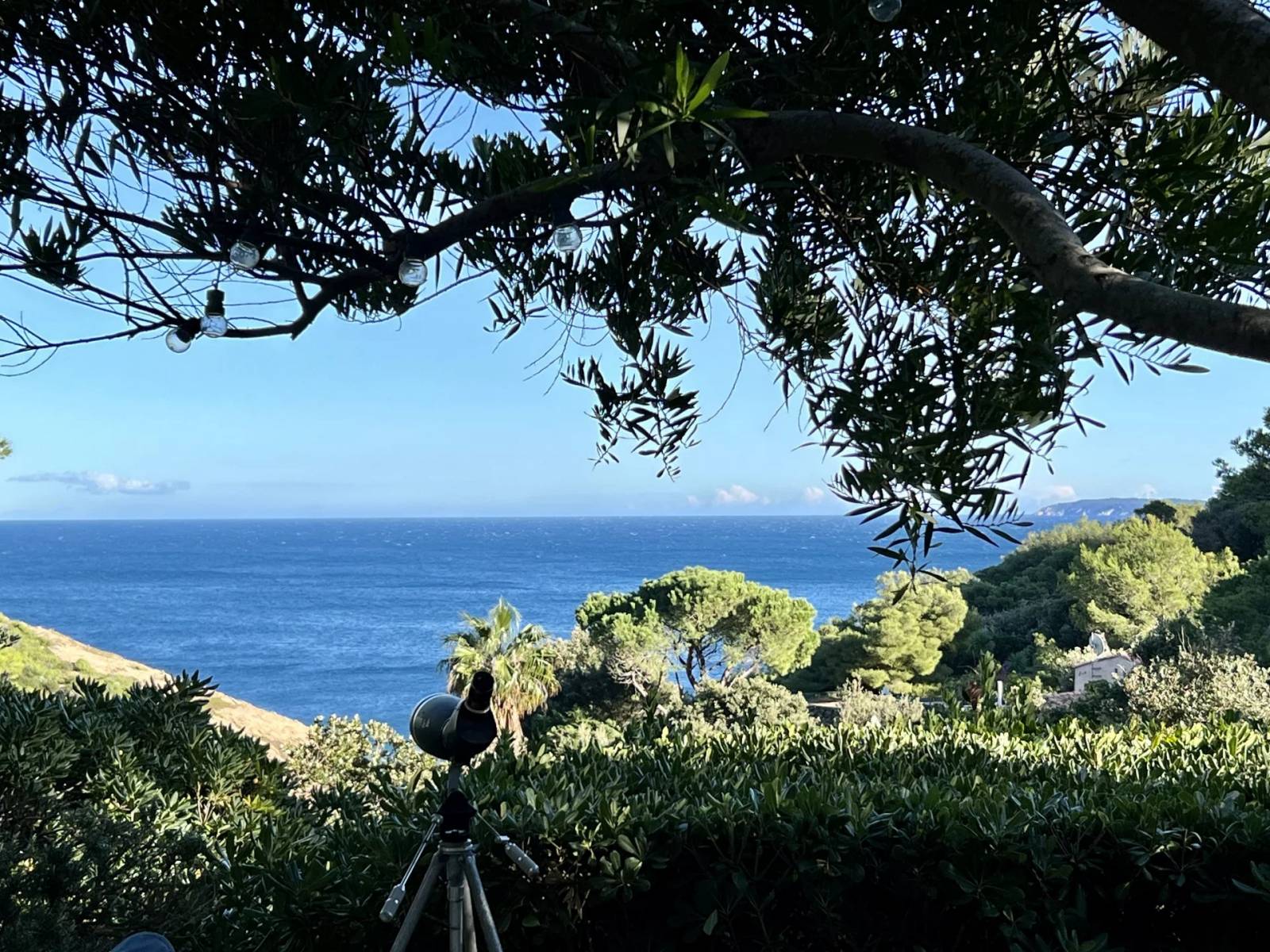 REAL ESTATE AGENT CAP BENAT