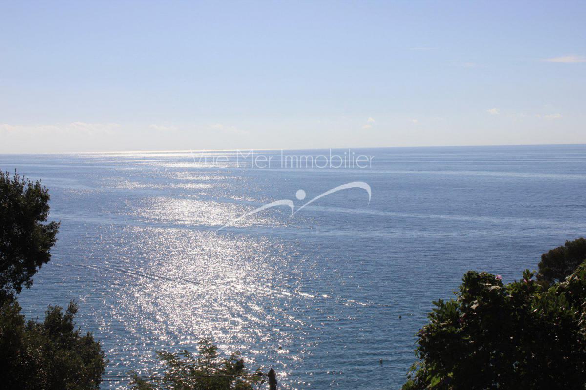 VILLA  avec VUE MER  au  RAYOL-CANADEL, proche plage. le Rayol-Canadel plage 