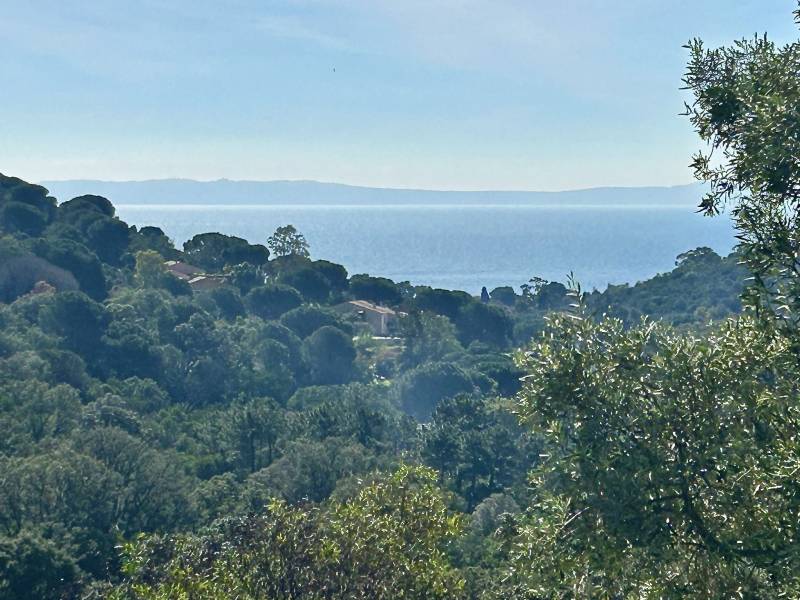 estimation immobilière Cavalière