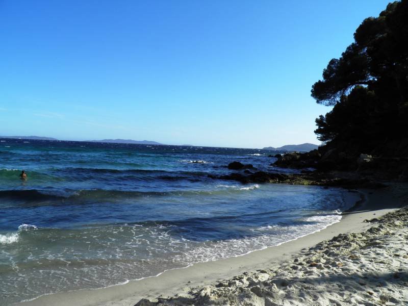 REAL ESTATE AGENT BORMES LES MIMOSAS