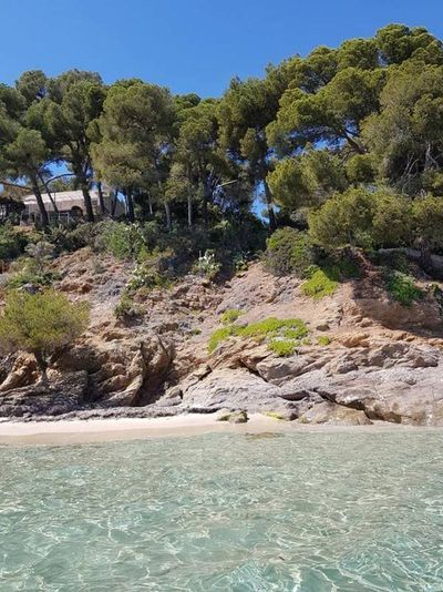 conservatoire du littoral Bormes-Les-Mimosas le lavandou conservatoire du littoral