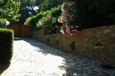 propriété au Lavandou à vendre par agence immobilière compétente