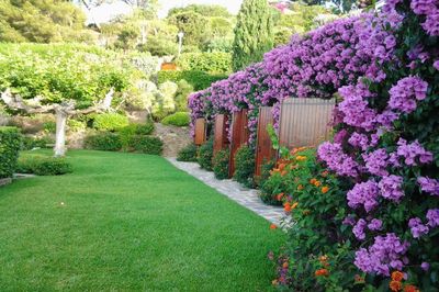 superbe jardin avec maison à estimer au Lavandou proche plage