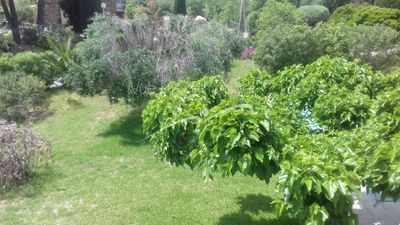 terrain arboré à vendre au Lavandou estimation