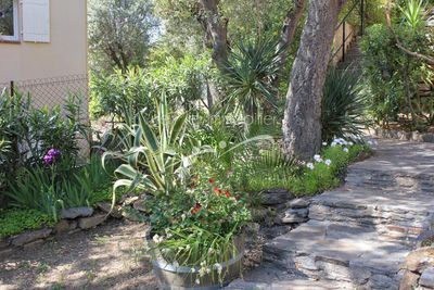 Appartement T3 Le Lavandou