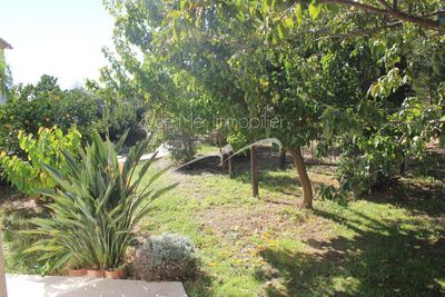 détachement de parcelle au Lavandou vendre par agence