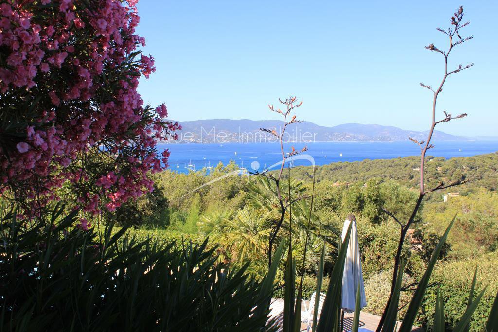 donner à quelle agence ma villa à vendre à Borems les Mimosas Cap bénat