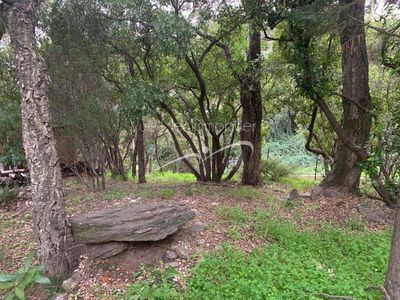 grand terrain à faire estimer au Lavandou