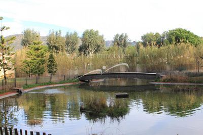 Appartement T2 Le Lavandou