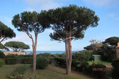 appartement type 2/3 pièces avec terrasse donnant sur la mer. SAINT-CLAIR