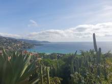 Nos prestations sur le secteur de La Croix Valmer Cavalaire-sur-Mer