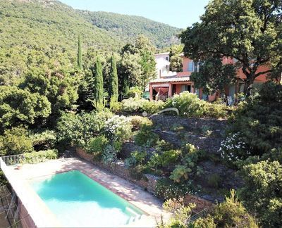 Piscine et jardin en restanques complanté