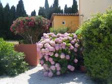 SAINT CLAIR - ACCES DIRECT PLAGE