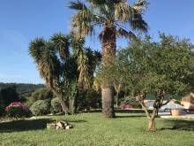 estimation propriété au Lavandou par agence immobilière