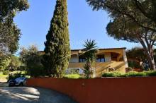 villa soleil arbres le lavandou