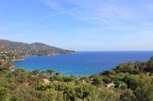 Nos prestations sur le secteur de Rayol-Canadel-sur-Mer