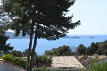 Vue mer Real estate agent