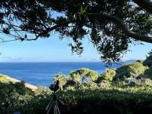 Nos prestations sur le secteur de Saint-Clair, La Fossette, Aiguebelle